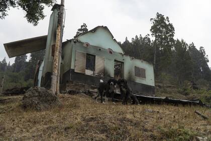 Los vecinos de Villa Lago Rivadavia están en alerta desde hace al menos una semana
