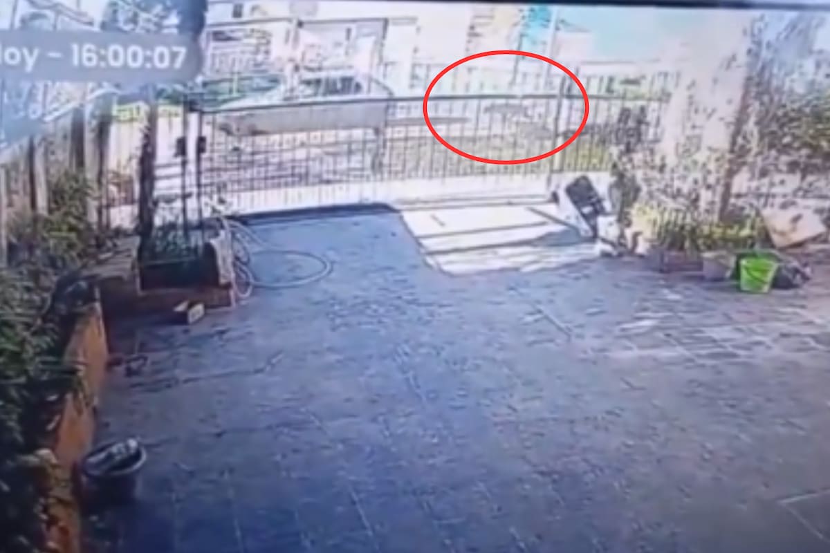 Los vecinos grabaron la situación y llamaron a la Policía