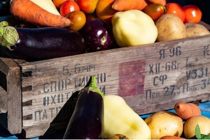 El programa busca educar a los estudiantes sobre el origen de los alimentos que consumen. Foto: Archivo.