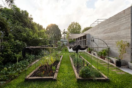 Los vegetales son agroecológicos y están cultivados en la propia huerta ubicada en el jardín del restaurante, a la vista de los comensales