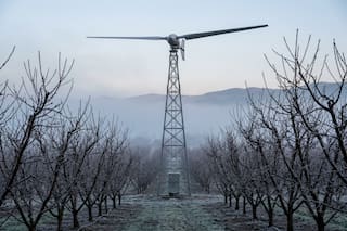 Colocaron un ventilador de 4,5 metros en una torre y salvaron sus cultivos de duraznos y frutas de las heladas