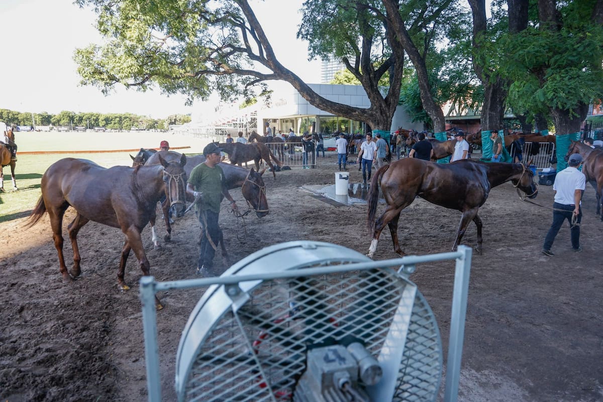 Los ventiladores-rociadores en los lapsos de descanso de los caballos: las semifinales se jugaron en jornadas de intenso calor