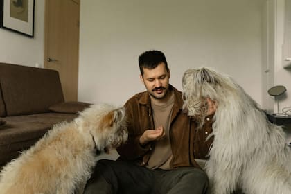 Los veterinarios recomiendan palpar al animal para llevar un control de los bultos que puedan generarse (imagen ilustrativa)