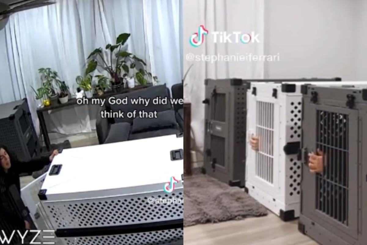 Los videos fueron compartidos en TikTok y acumulan millones de reproducciones (Foto:TikTok: @stephanieiferrari)