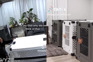 Los videos fueron compartidos en TikTok y acumulan millones de reproducciones (Foto:TikTok: @stephanieiferrari)