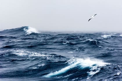 Los vientos alisios se extienden desde el nivel del mar hasta los 1.500 o 2.000 metros sobre el nivel del mar.
