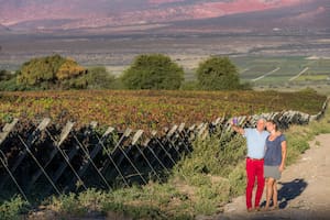 Los viñedos están entre 1700 y 3000 metros de altura, en los Valles Calchaquíes