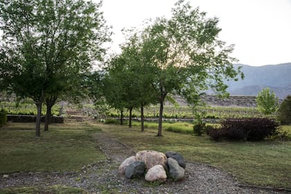 Los viñedos son una extensión del jardín, con doble fin: estético y utilitario