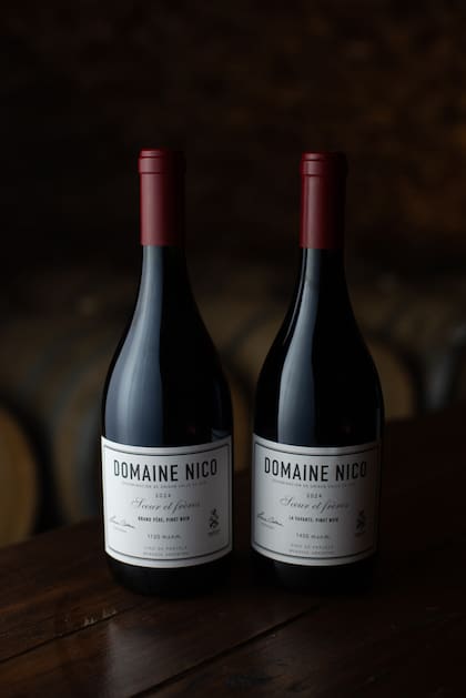 Los vinos premiados