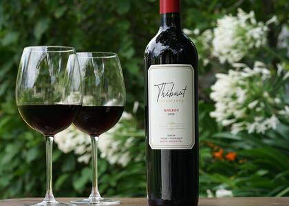 Los vinos de Thibaut Delmotte.