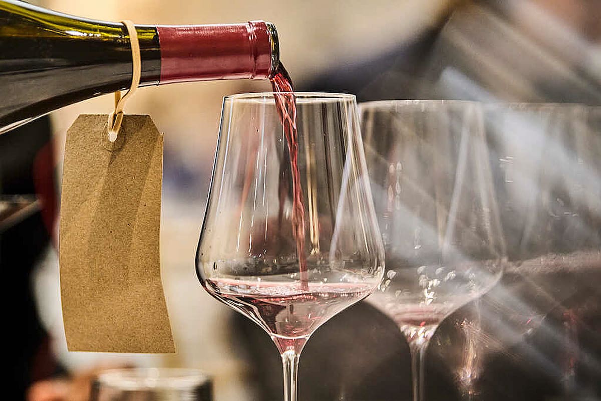 Los vinos fueron catadas a ciegas