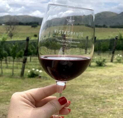 Los vinos jóvenes se comercializan bajo la marca Surmenaje y la línea reserva, con la denominación 30/08