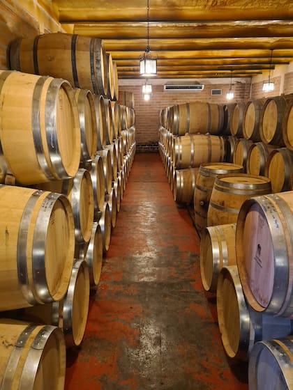 Los vinos se añejan en vasijas de roble.