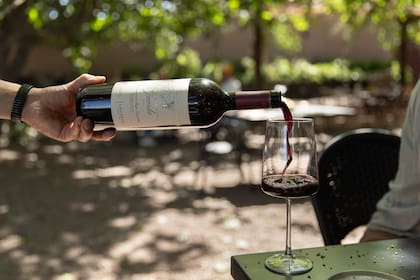 Los vinos se pueden disfrutar en las mesas al aire libre