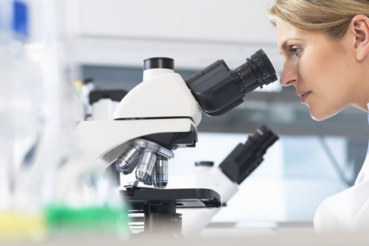 Los virus gigantes pueden observarse a través de un microscopio óptico común