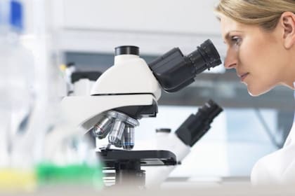 Los virus gigantes pueden observarse a través de un microscopio óptico común