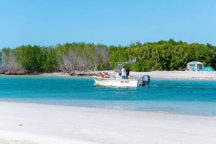 Los visitantes de Shell Key Preserve pueden disfrutar de actividades acuáticas o simplemente tomar el sol y contemplar el impresionante paisaje