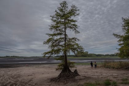 Los visitantes observan el lecho seco del lago de la represa Canelón Grande que proporciona agua potable a Montevideo en Canelones, Uruguay, el martes 21 de marzo de 2023. (AP Foto/Matilde Campodonico).