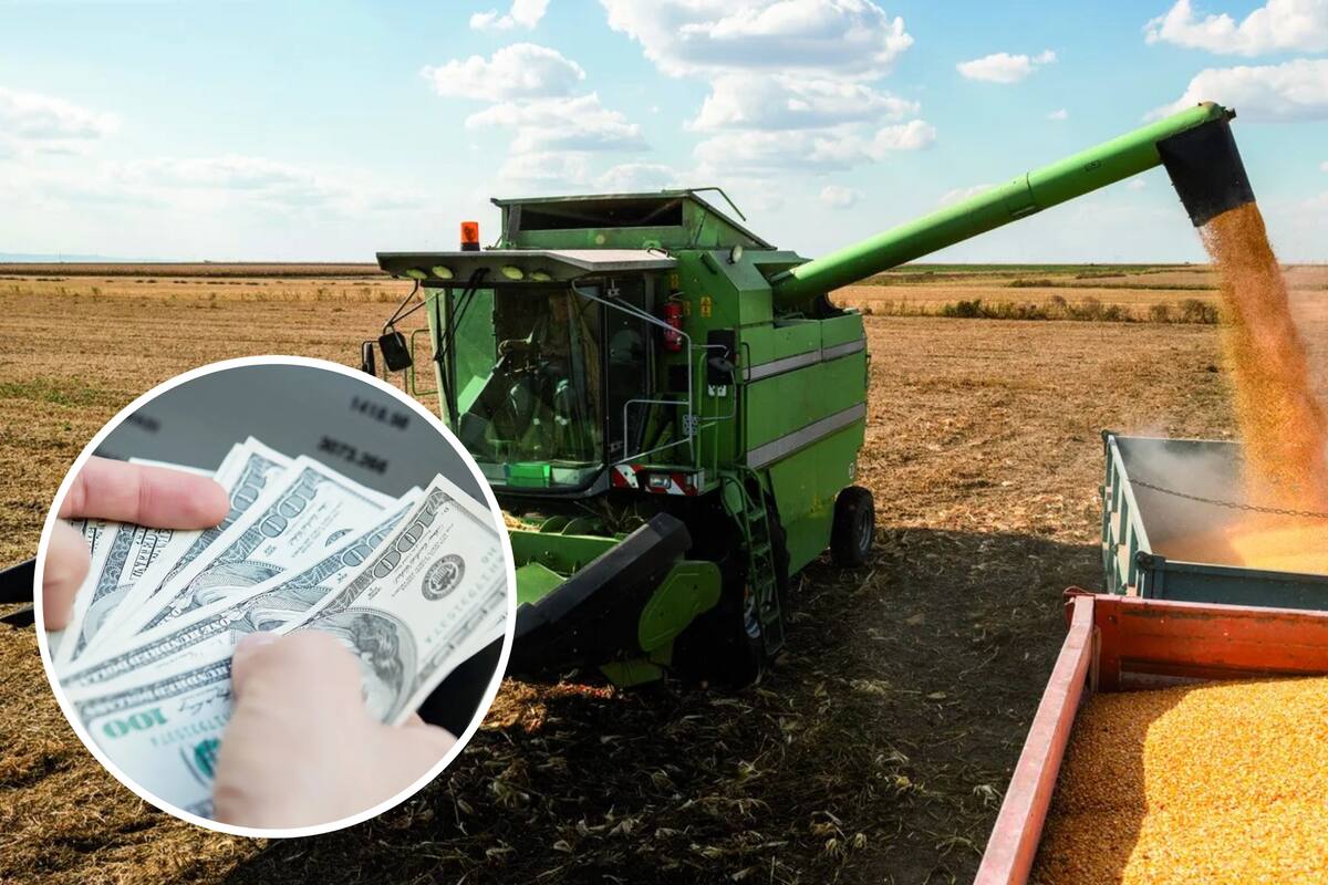 Los volúmenes de equilibrio representan un mecanismo de control de las exportaciones