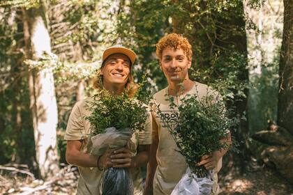 Los voluntarios reforestaron un bosque incendiado en 1999 en el cerro Catedral.