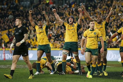 Los Wallabies, campeones del Rugby Championship