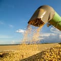 La Bolsa de Comercio de Chaco estructuró una operatoria inédita para el agro