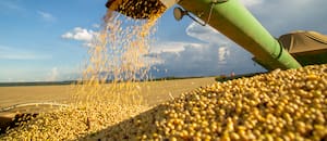 La Bolsa de Comercio de Chaco estructuró una operatoria inédita para el agro