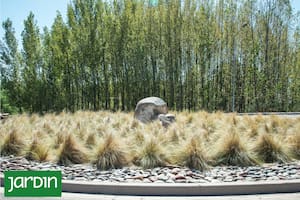 Los xerojardines aprenden a vivir con el agua que cae del cielo y la que poco se agrega desde fuera