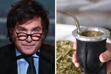 Los yerbateros denunciaron a Javier Milei por no nombrar presidente en el INYM