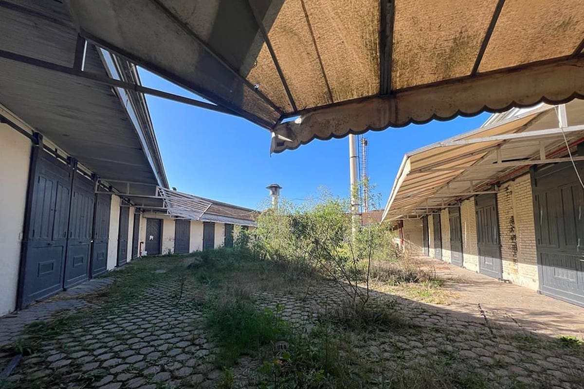 Los yuyos crecen a sus anchas en el patio interior del edificio construido como casa de remate de caballos