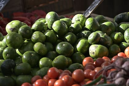 Los zapallitos son unas de las verduras con mayores beneficios.