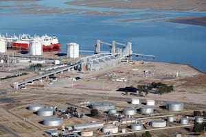 Louis Dreyfus invertirá US$400 millones en Bahía Blanca para una de las mayores plantas de molienda de girasol del mundo