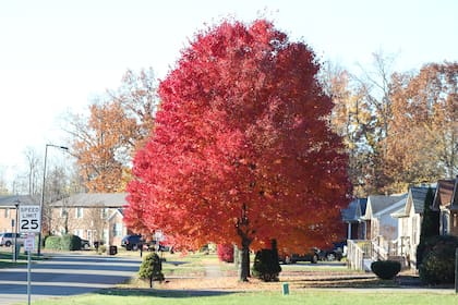 Louisville, Kentucky