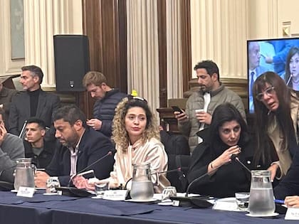Lourdes Arrieta, la diputada libertaria que fue a reunión de comisión con un patito en la cabeza