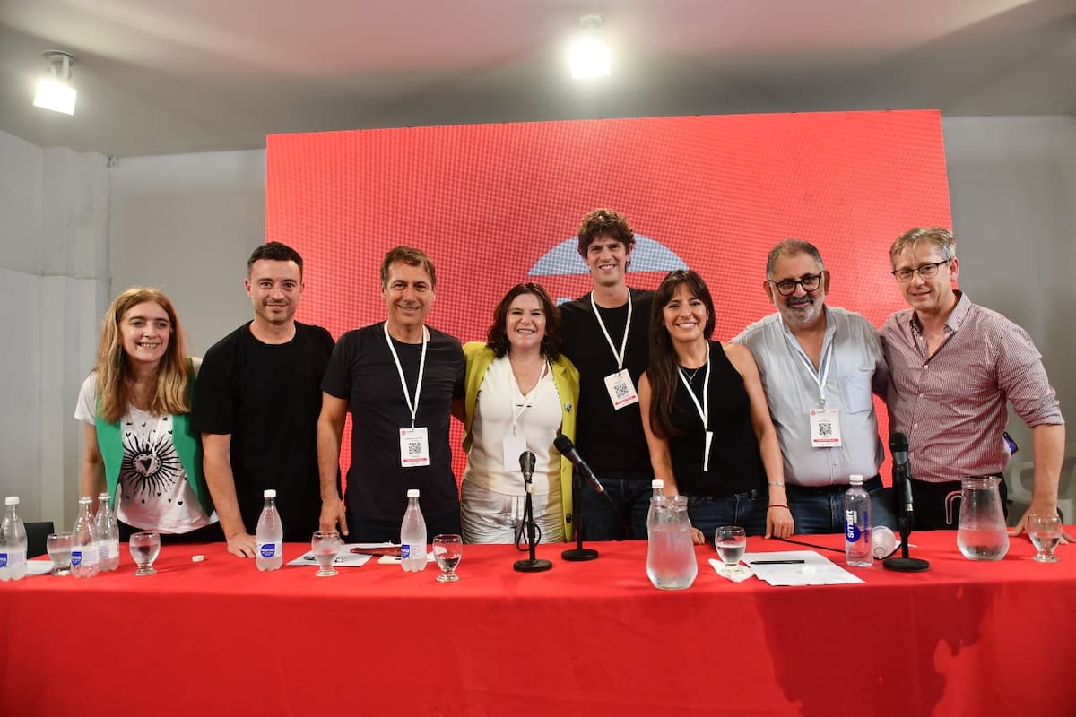 Lousteau, jefe de la UCR