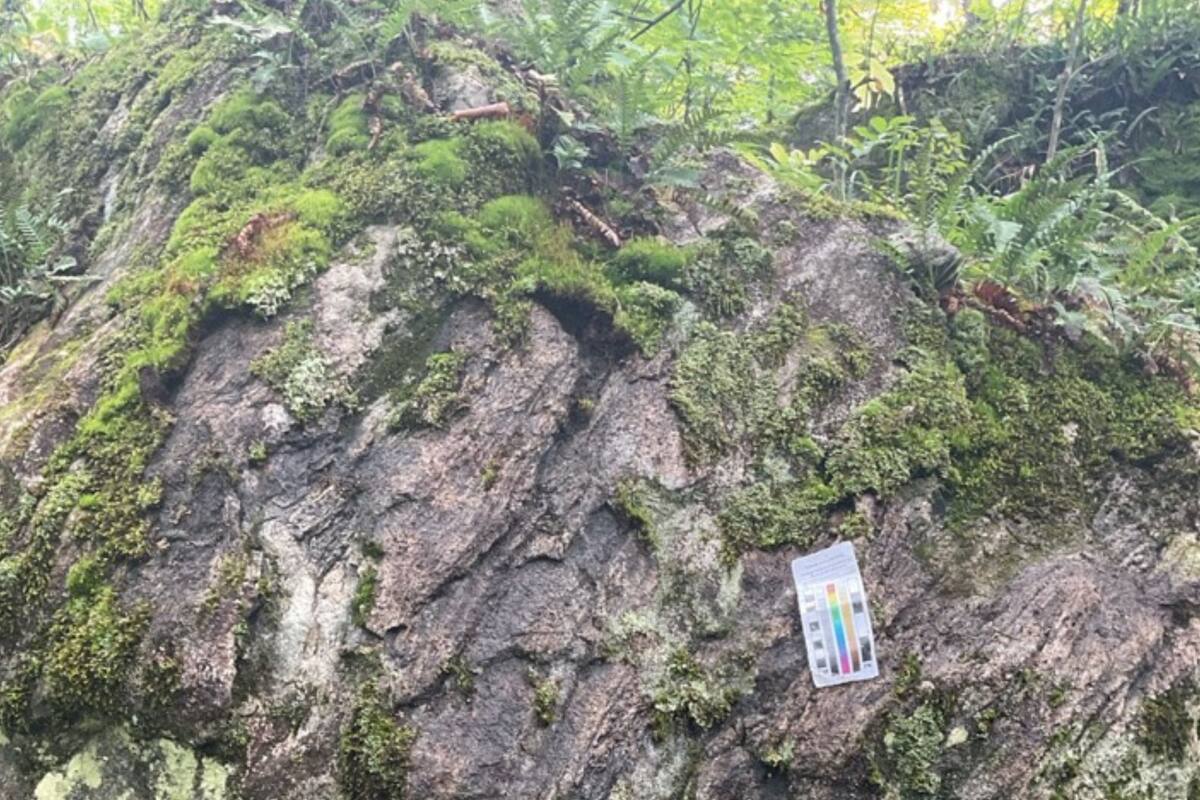 Ls geólogos extrajeron muestras de roca en el domo de Watersmeet, norte de Michigan