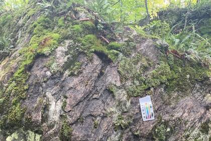 Ls geólogos extrajeron muestras de roca en el domo de Watersmeet, norte de Michigan