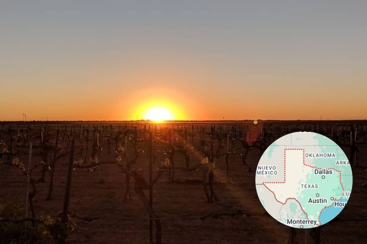 Lubbock es el corazón del Área Vitivinícola Americana de las Llanuras Altas de Texas (Pheasant Ridge Winery)
