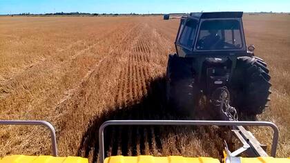Lucas Lazzari y su padre José Mario (en el tractor) trabajan unas 200 hectáreas, entre propias y alquiladas, en la zona de La Emilia y de Campo Salles, en la provincia de Buenos Aires