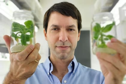 Lucas Lieber, fundador de la empresa rosarina