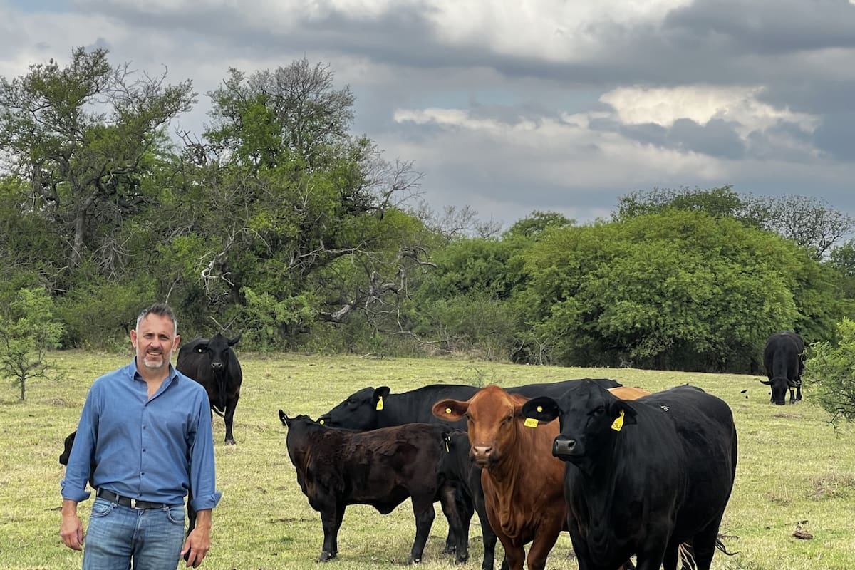 Lucas Lingua: “Comenzamos haciendo inseminación artificial y luego transferencia embrionaria, que era la tendencia que veíamos venir como dominante"