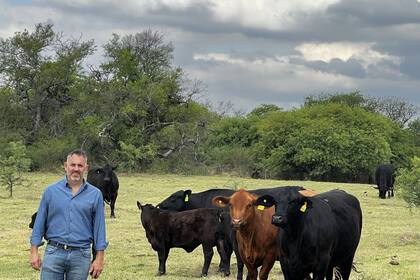 Lucas Lingua: “Comenzamos haciendo inseminación artificial y luego transferencia embrionaria, que era la tendencia que veíamos venir como dominante"