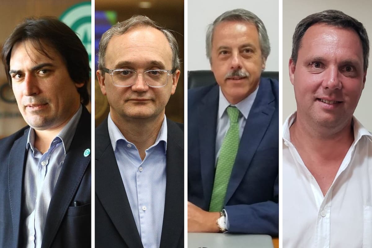Lucas Magnano, Gustavo Idígoras, Alfredo Paseyro y Pablo Ginestet