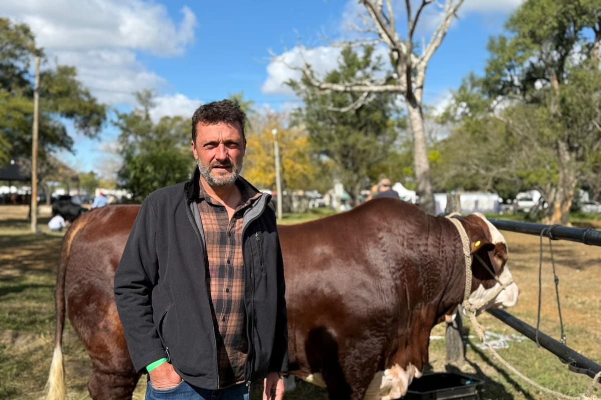 Lucas Pérez participa por primera vez en Las Nacionales con la cabaña Braford Enriqueta Buena, el proyecto ganadero que armó junto a su familia para diversificar la actividad