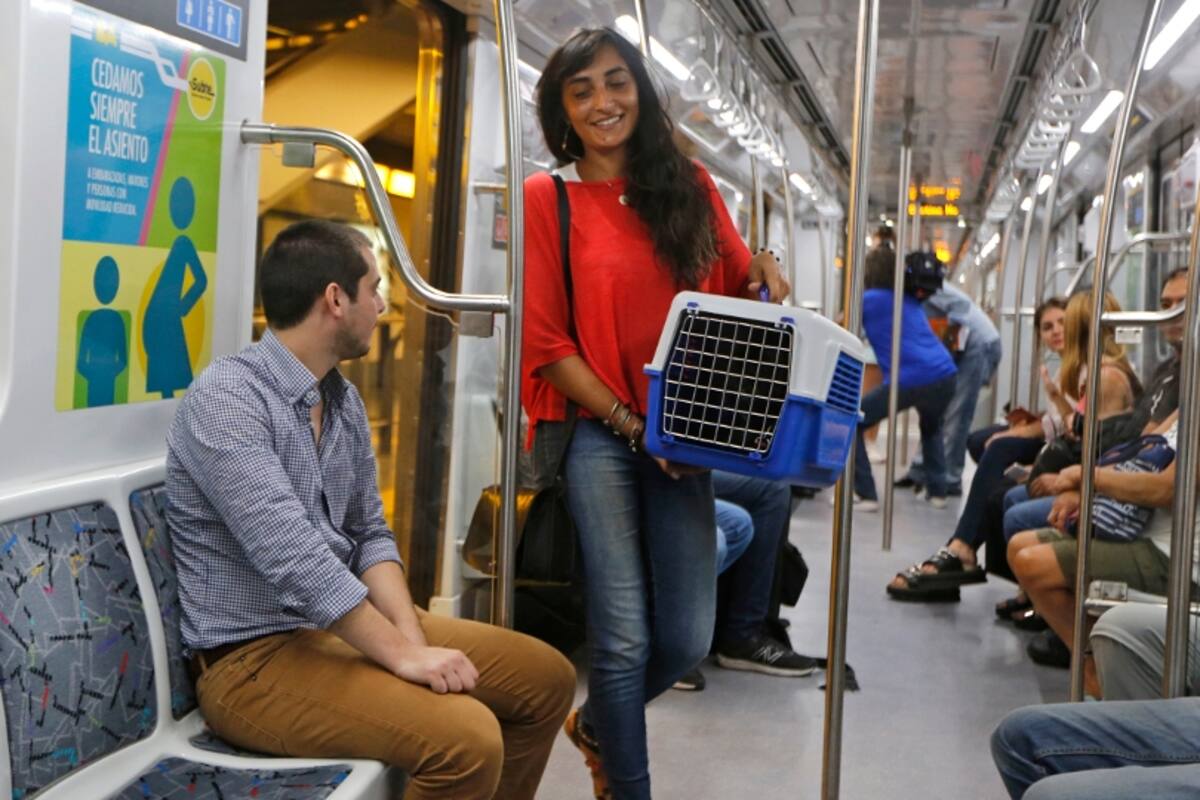 Lucía viajó ayer con su perro Indi en la línea H