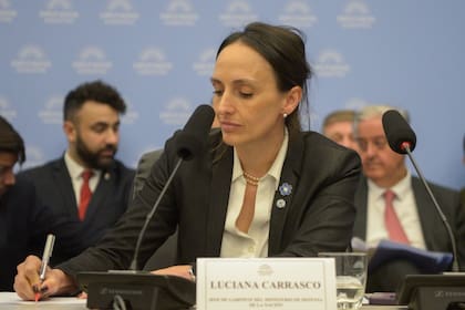 Luciana Carrasco, jefa de Gabinete del Ministerio de Defensa y posible sucesora de Luis Petri al frente de la cartera, expuso en la Cámara de Diputados sobre el presupuesto 2026.