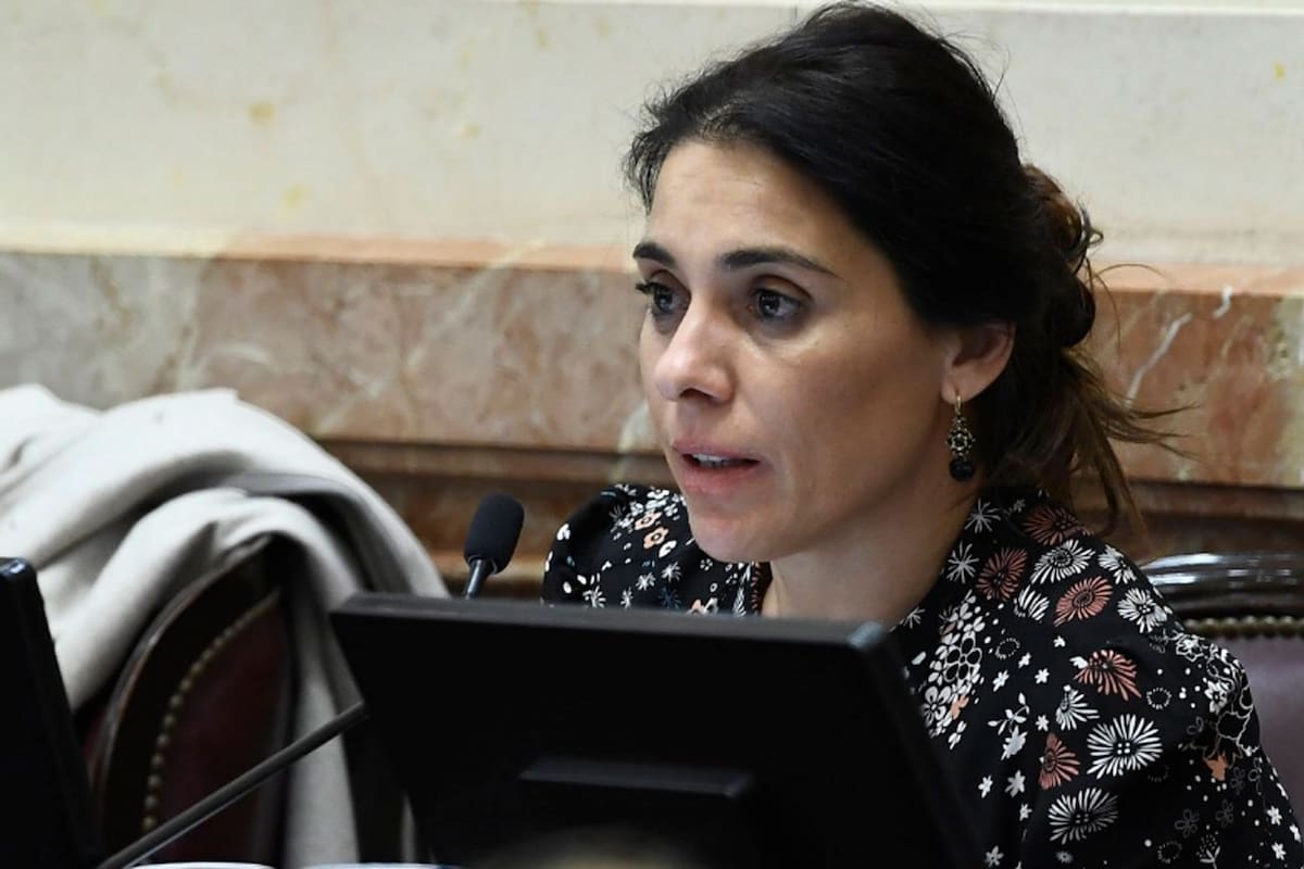 Lucila Crexell, del Movimiento Popular Neuquino, fue la senadora que más viajó