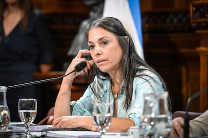 Lucila Crexell, en la audiencia de este jueves (Comunicación Senado)