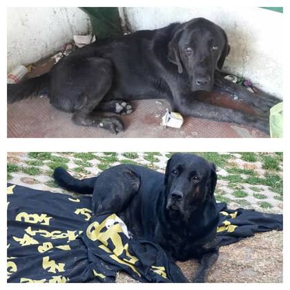 Lucio: antes y después.