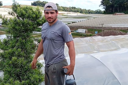 Lucio, de 26 años, se emplea en la cosecha de tomate en Otávio Rocha, a casi 600 kilómetros de Oberá, trabaja en blanco pero arranco como trabajador informal